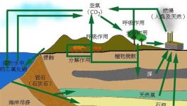 全球水泥材料碳化的碳吸收研究取得重大進(jìn)展