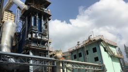 中材節(jié)能總承包的首個生物質發(fā)電項目通過驗收