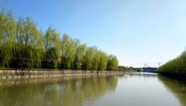 南方水泥海河聯(lián)運一期項目8月將正式投產(chǎn)