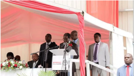 中材國際津巴布韋最大水泥廠竣工 總統(tǒng)出席并講話