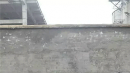 無法無天！紅獅水泥暴力阻撓取證