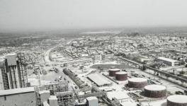 2016年丹格特水泥公司收入獲得25.1%的增長