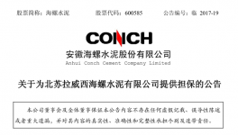 海螺水泥為北蘇海螺銀行貸款提供擔(dān)保 擔(dān)保金額9000萬美元