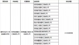 陜西134家串標(biāo)被通報，追究刑事責(zé)任！