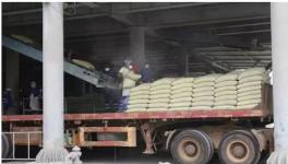 這個(gè)地區(qū)水泥價(jià)格開始大幅度下跌