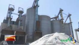 這家企業(yè)污染嚴(yán)重卻打著環(huán)?！按笃臁鄙a(chǎn)水泥