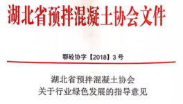 湖北省預(yù)拌混凝土行業(yè)發(fā)展指導(dǎo)意見(jiàn)