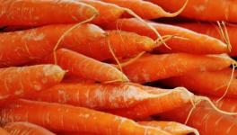 混凝土抗壓強度不夠？加點胡蘿卜！