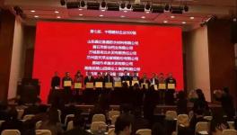 曲寨水泥榮獲中國(guó)建材企業(yè)500強(qiáng)企業(yè)