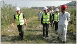 專家對上思縣華潤水泥有限公司綠色礦山創(chuàng)建工作進行驗收考核