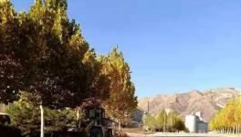 這家官司纏身的水泥企業(yè)或已被中聯(lián)水泥接手！