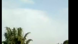 沒貨了!預約買水泥!水泥價格將向1000元/噸發(fā)起沖鋒!