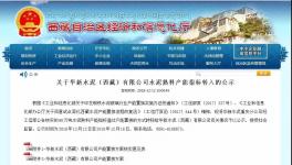 又一條新建水泥產(chǎn)能將落地！