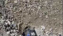 大貨車闖紅燈側(cè)翻!小車瞬間被埋!致3人死亡！