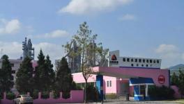 “高顏值”的經(jīng)濟(jì)效益 促生又一條4500t/d生產(chǎn)線