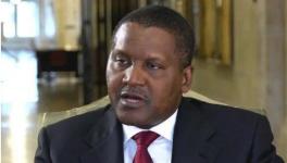 瘋狂！這個(gè)地區(qū)大搞建設(shè)！水泥賣到2000多元/噸！