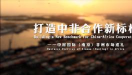 十年非洲歲月，中材國(guó)際市場(chǎng)巡禮片震撼來(lái)襲！