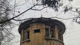 江南水泥廠被指保護不力，回應(yīng)稱原因復(fù)雜