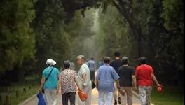 水泥行業(yè)將陷入到一個“可怕的陷阱”...