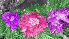 水泥的另外一種美！您見過嗎？