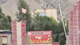 村民舉報(bào)：已關(guān)停許久的水泥廠又開(kāi)始生產(chǎn)，粉塵污染嚴(yán)重