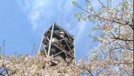 海螺水泥這么強大！答案在這里……