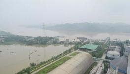 7人死亡9人失蹤！多省緊急發(fā)文！800多家水泥廠出貨量暴跌！