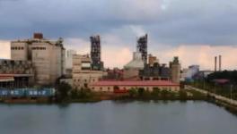 拉動經(jīng)濟！解決就業(yè)！印尼各級政府高度贊賞海螺水泥！