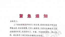 狼來了！這家水泥廠已有員工被抓傷！