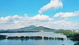 緊急通知！8月15日起推動部分水泥企業(yè)退出！9月起實施階段性停產(chǎn)！