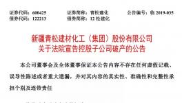 青松建化同意控股子公司申請(qǐng)破產(chǎn)并辦理注銷登記
