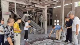 一間停產(chǎn)的水泥廠，竟然生產(chǎn)出了四個(gè)牌子的水泥？