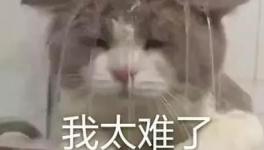 國(guó)慶節(jié)的催款心聲，讓數(shù)萬(wàn)水泥人不再沉默！