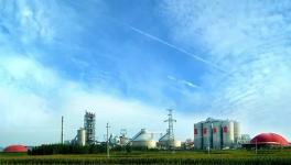 海螺水泥首個SCR脫硝項目曝光！排放指標(biāo)驚人！