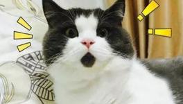 美！太美了！這些花園水泥廠您去過嗎！