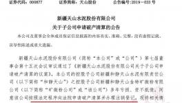 天山水泥子公司向法院申請(qǐng)破產(chǎn)清算并辦理注銷(xiāo)登記