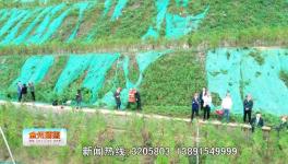 點(diǎn)贊！這一地區(qū)礦山生態(tài)環(huán)境恢復(fù)治理近200公頃！