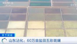 1噸海水超千元！廢料還能造水泥！