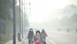 水泥停產！工地放假！物流停運！“春運”提前來了！