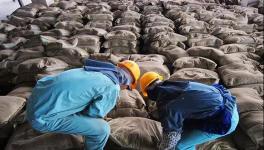 大事！砌筑32.5、P.P、P.F、P.S.A 32.5水泥全部取消！這個(gè)省動(dòng)真格！