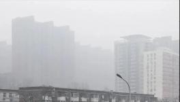 停工停產(chǎn)一個月！霧霾還是爆表！3000多家水泥企業(yè)“冤不冤”?