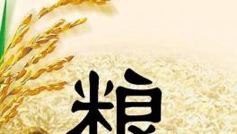 全球糧食市場(chǎng)異動(dòng)，每個(gè)人都要提前應(yīng)對(duì)了！