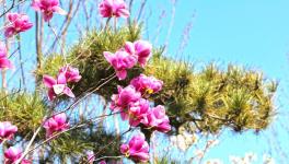 復工復產(chǎn)進行時：詩韻畫卷里的洛陽中聯(lián)！