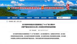 8死1傷事故，5名公職人員涉違紀(jì)被調(diào)查！