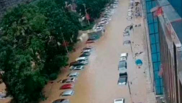 立即撤離！15個省市緊急預(yù)警！水泥價格集體下跌！