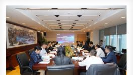 中國建材、海螺水泥、物產(chǎn)中大三大集團聯(lián)手！