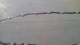 發(fā)明！自我修復混凝土，房子200年不裂！