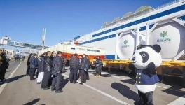 東北海運通道打開，水泥、熟料“高速運輸”直達山東！