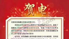 又是海螺水泥！創(chuàng)造世界水泥行業(yè)奇跡！