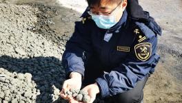 順利通關(guān)！4萬多噸韓國熟料進入中國！